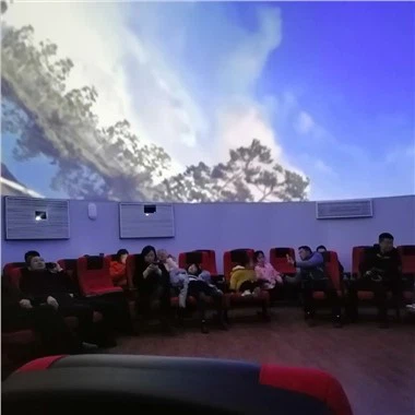 Apa yang dimaksud dengan koreksi geometris dalam Proyeksi Multi Saluran?